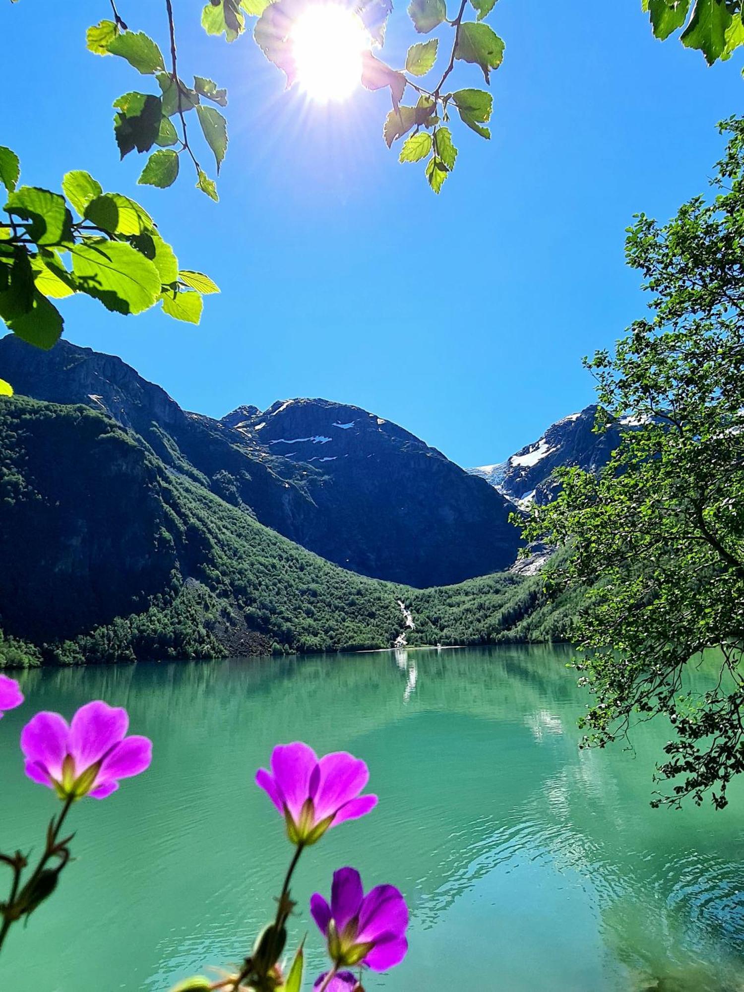 Rosendal Fjordhotel エクステリア 写真
